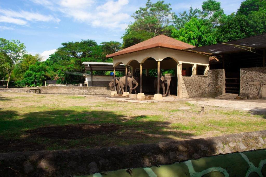 Oyo 2454 Wanawiyata Yogyakarta
